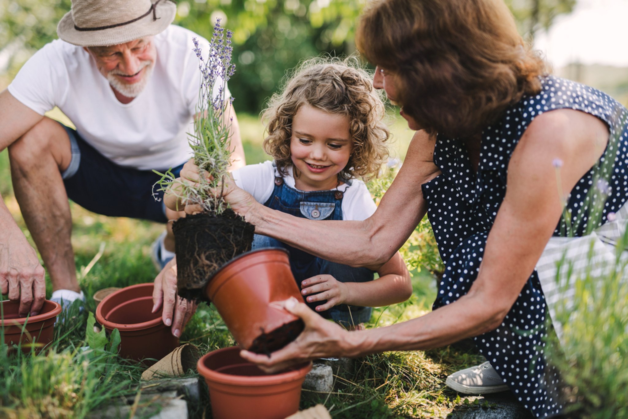 Free Backyard Essays and Papers | Help Me describe your backyard essay